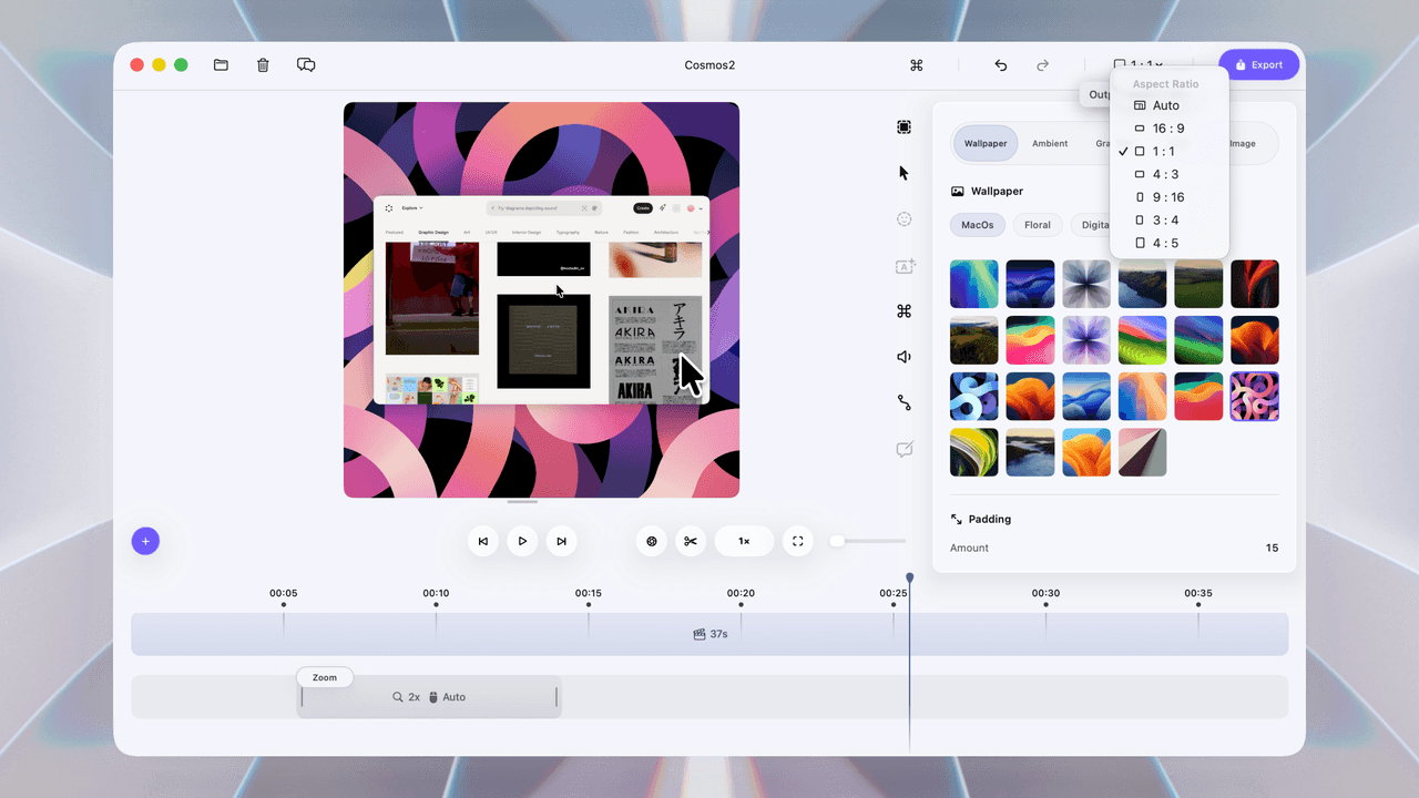 Manual and auto zoom controls
